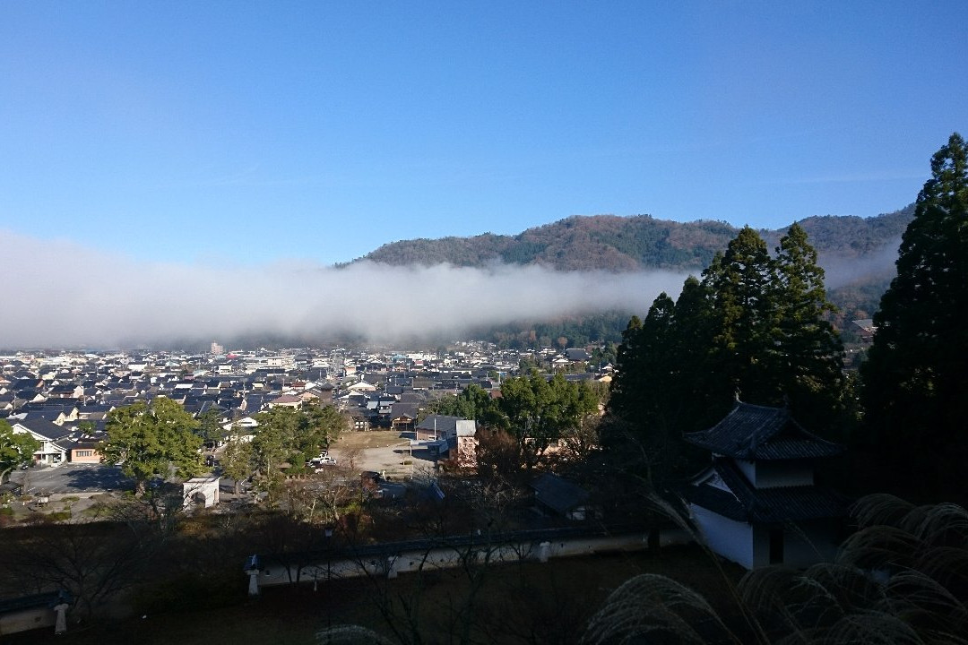 Arikoyama Inari Shrine-丰冈市必去景点