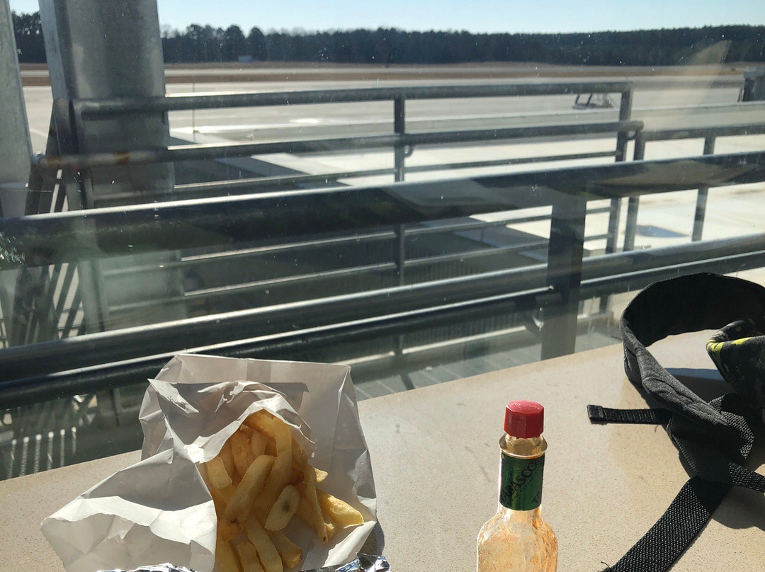 RDU Observation Park景点图片