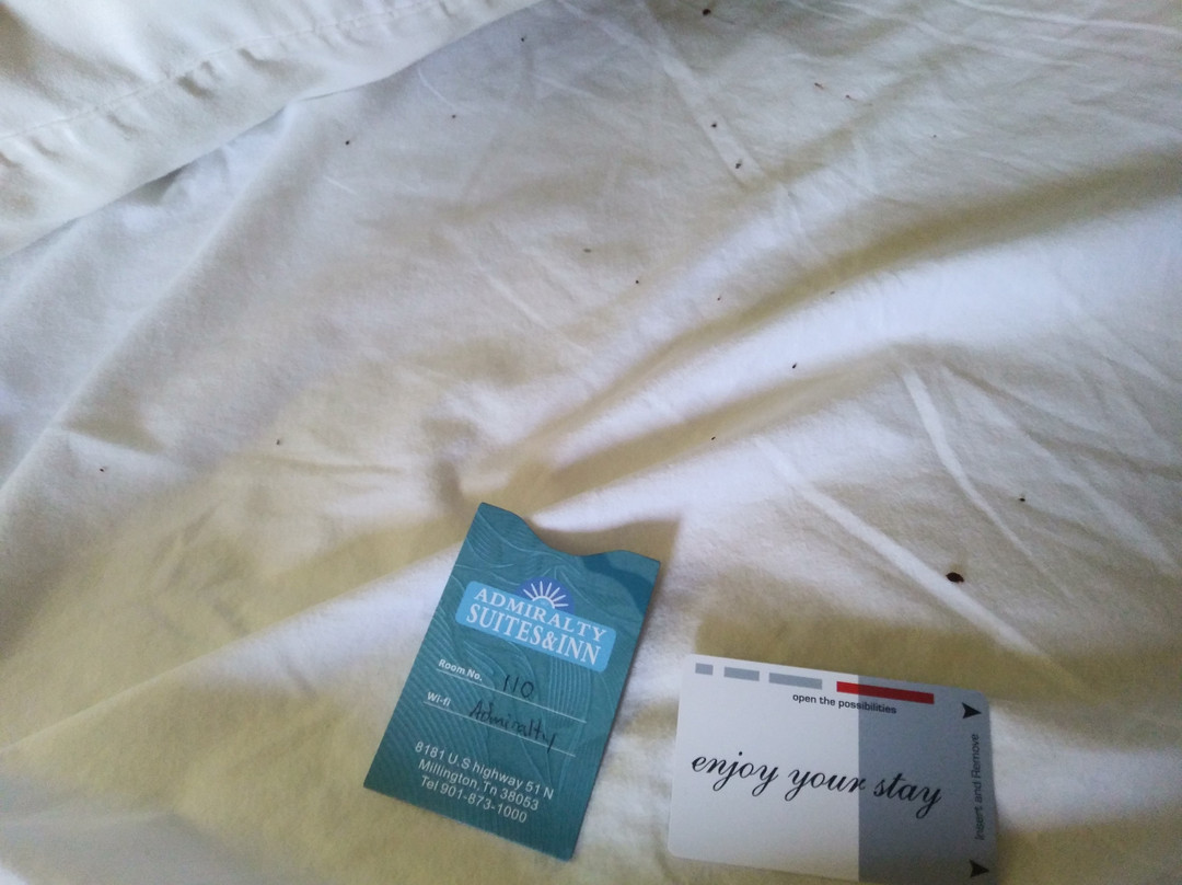 Admiralty Suites and Inn主图