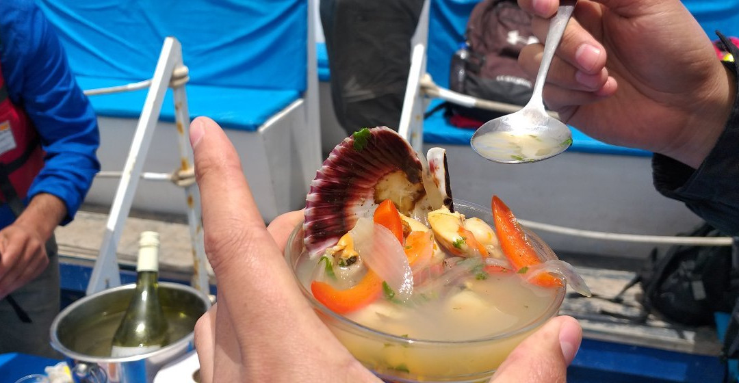 Turismo Todo Tongoy-Tongoy必去景点