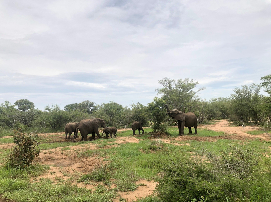 Explore Kruger Safaris-玛洛斯帕克必去景点