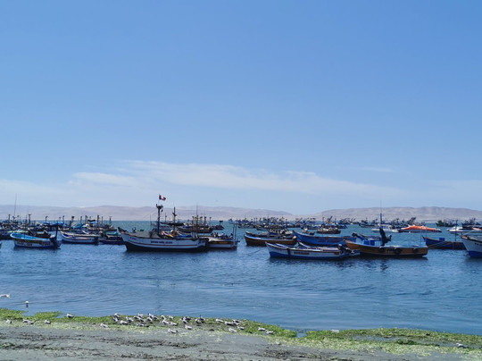 Berrios Travel-利马必去景点