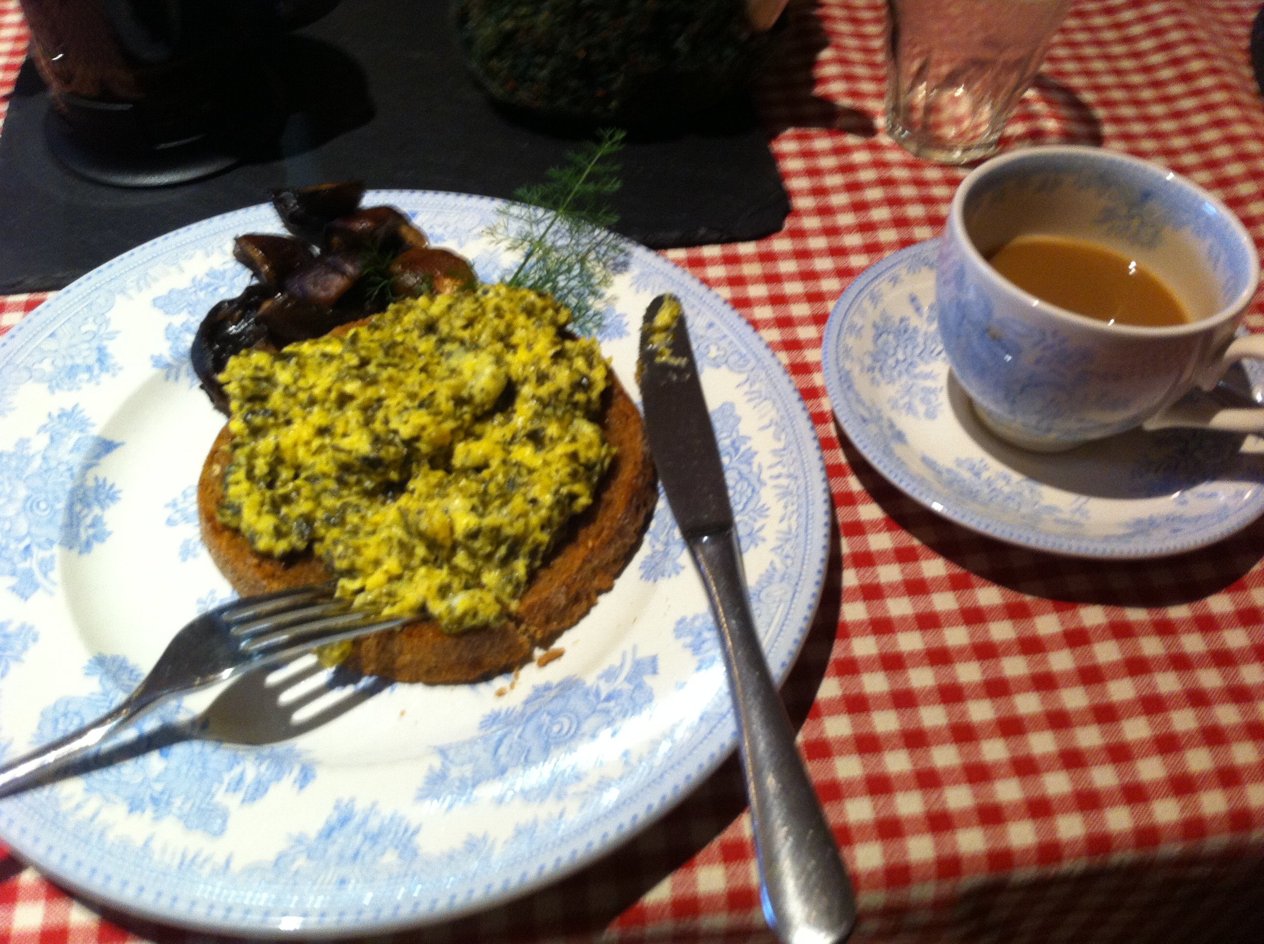 Nantgwynfaen Organic Farm-餐饮