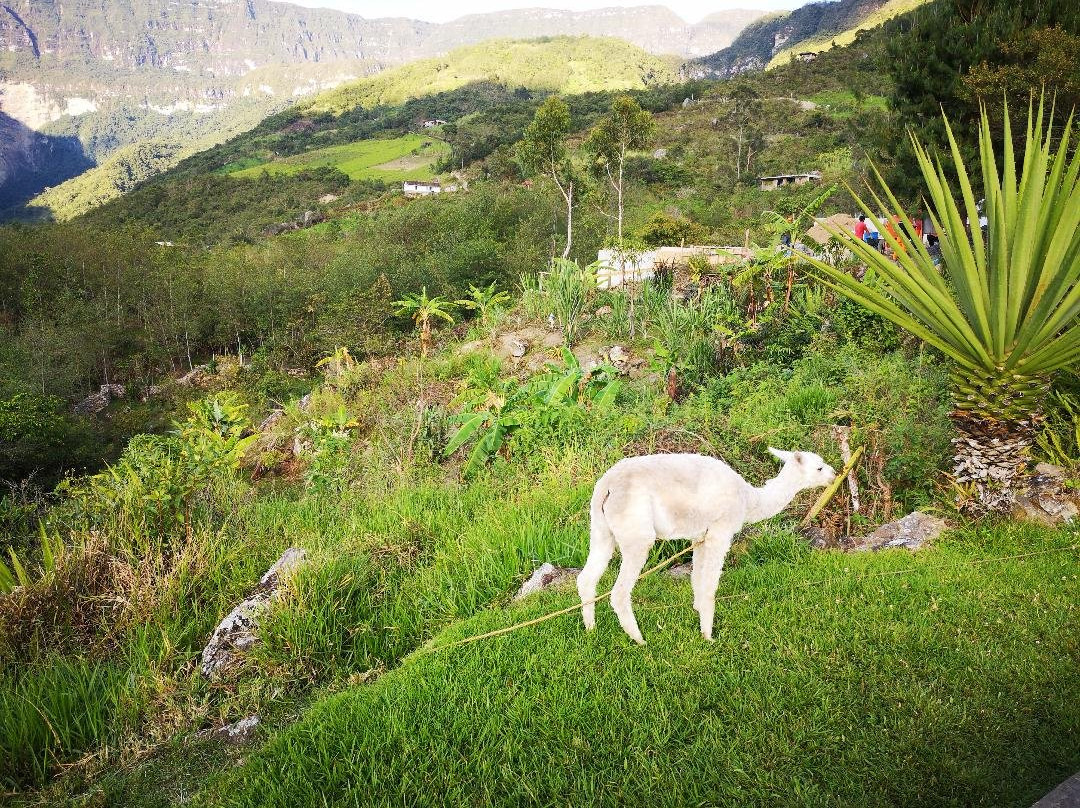 Gocta Andes Lodge主图