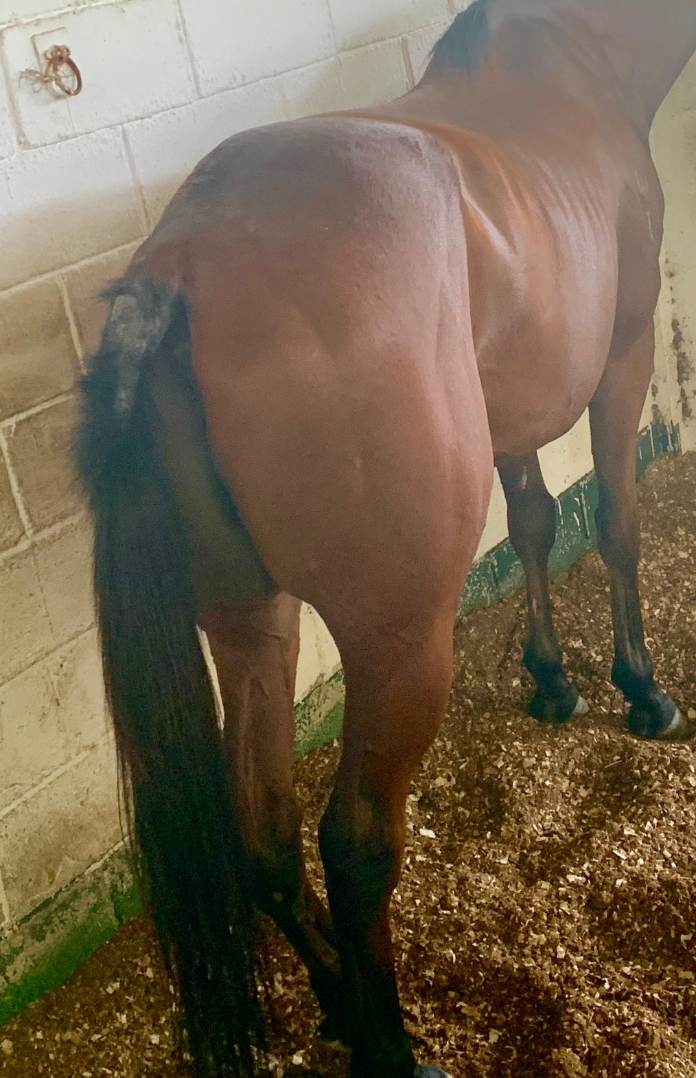 Rider's Resort-portrait