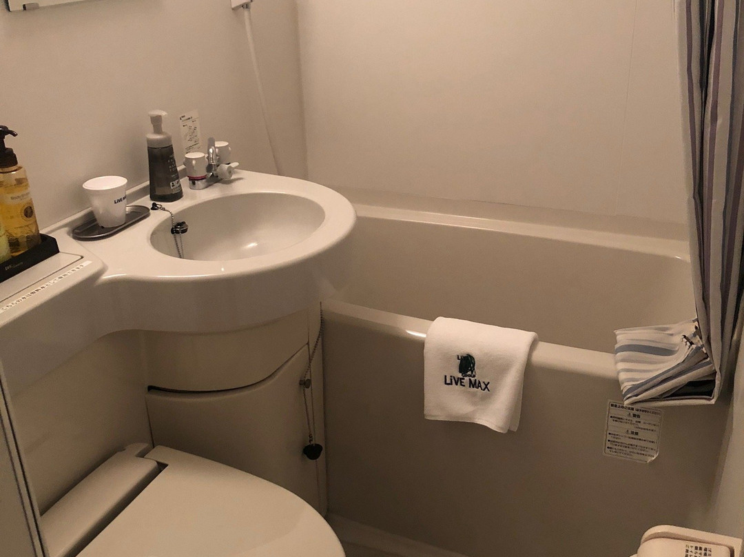 利夫马克斯经济型酒店-滨松站前店主图