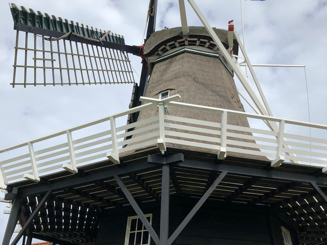 Koren- En Mosterdmolen de Verwachting景点图片