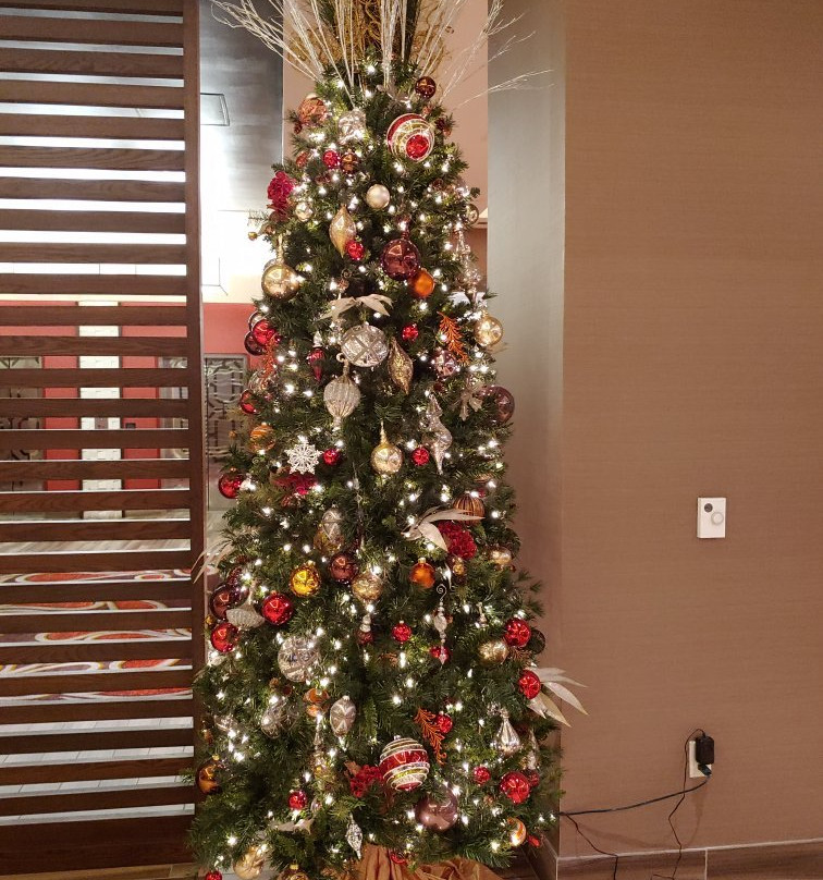 Seven Clans Hotel主图