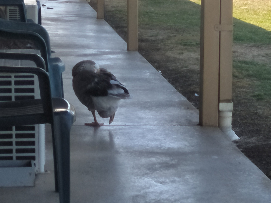 天堂湖汽车旅馆主图