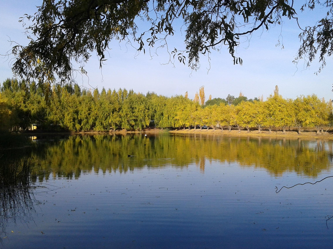 The Finca景点图片