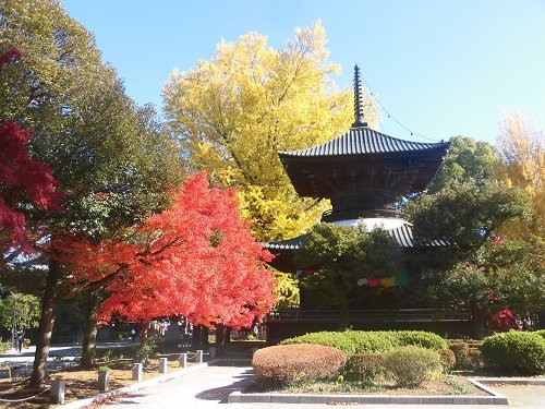 Banna-ji Temple Tahoto-足利市必去景点