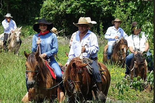 Turedco-Anvitur-Arauca必去景点