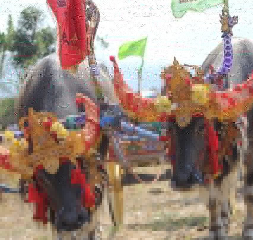 Atuh Forest Cottage主图