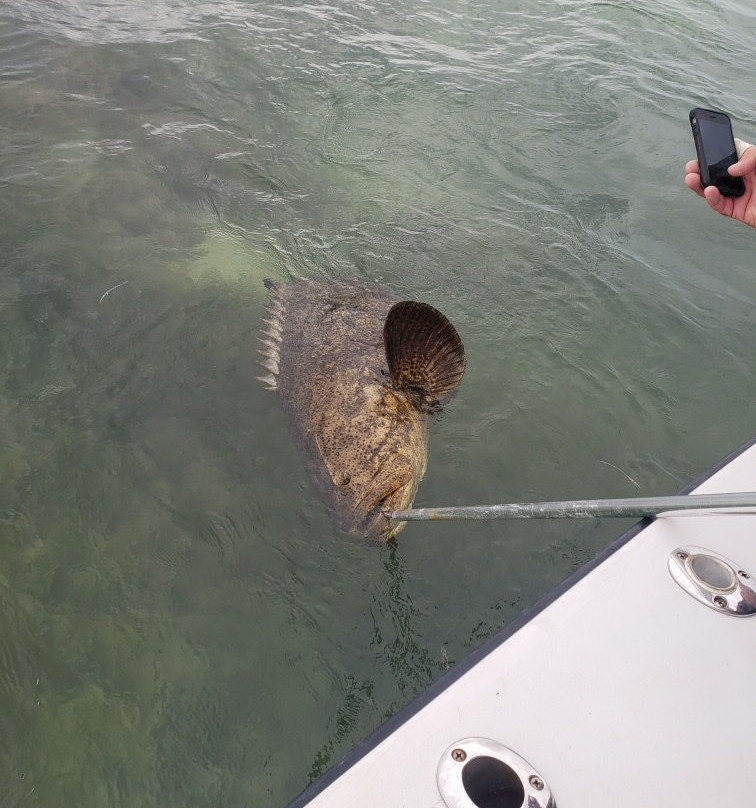 Captain Mel's Sportfishing Charters-基韦斯特必去景点