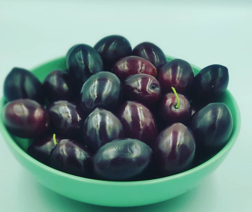 Virginia Olive Oil & Olives-Vatopedi必去景点