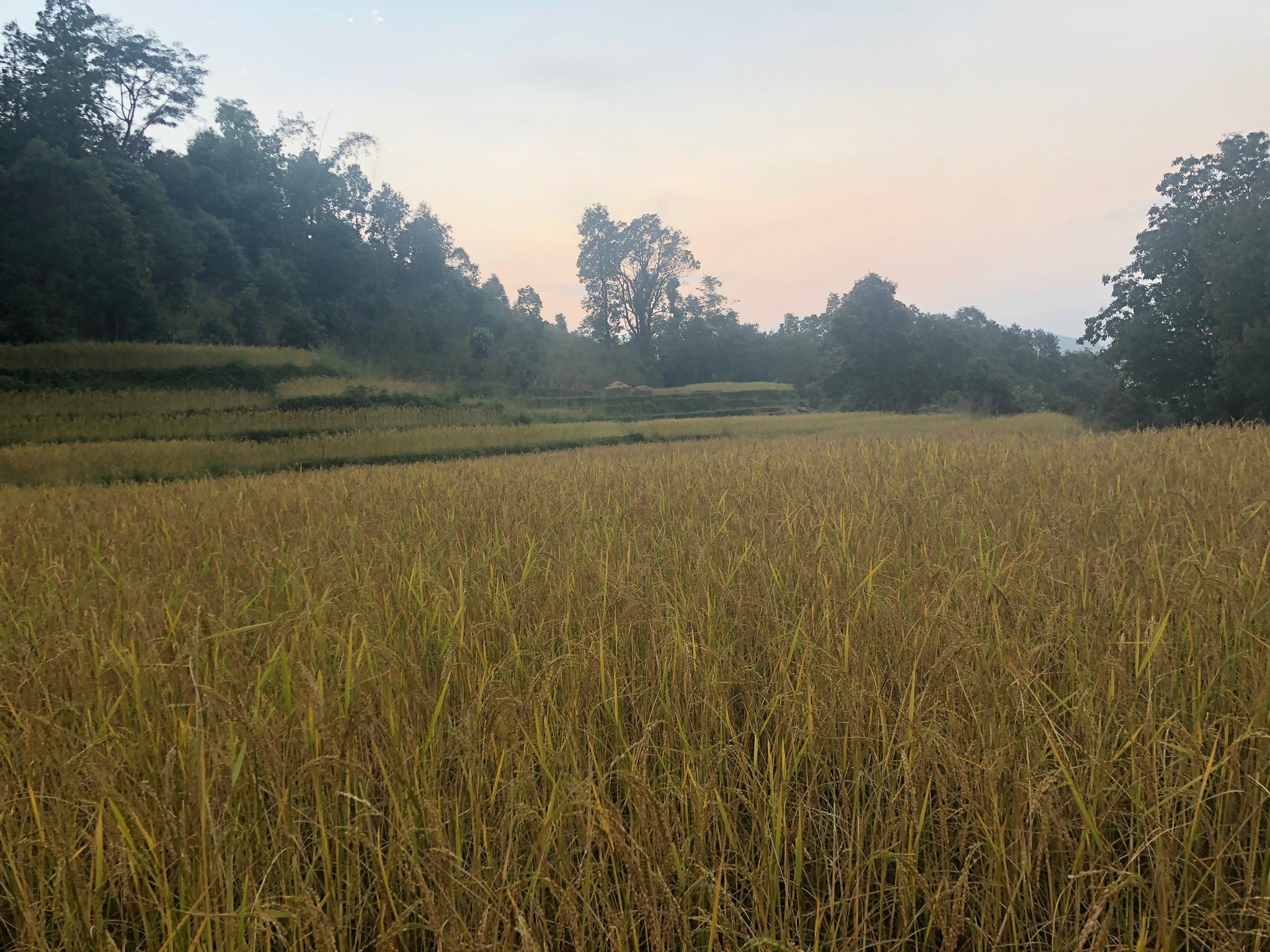 Astam Village Lodge-官方