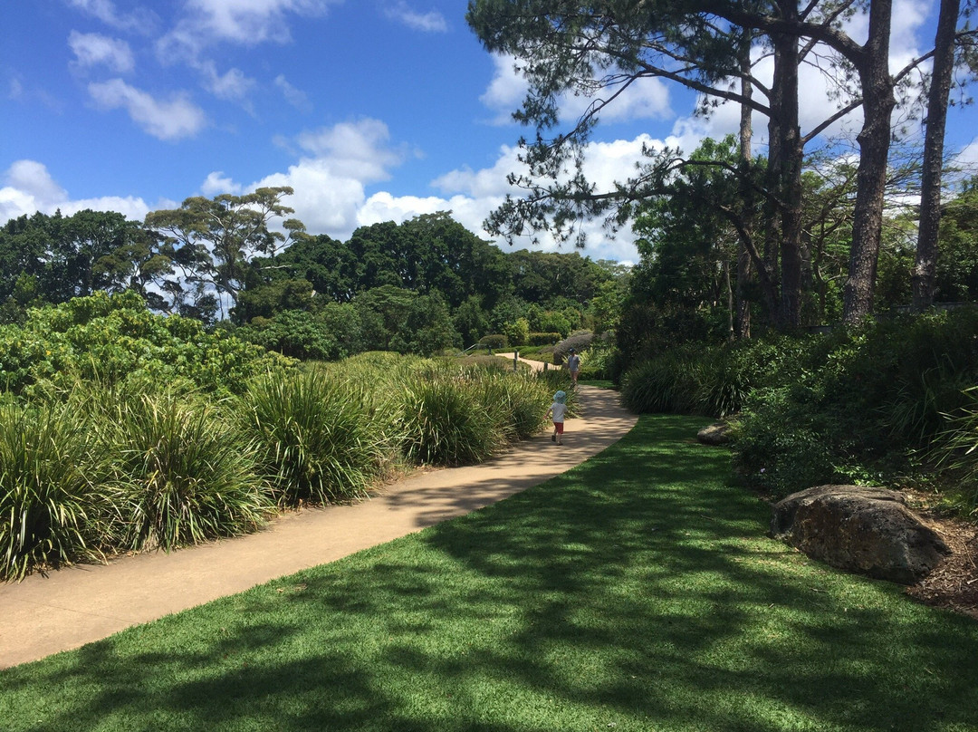 Buderim District Park景点图片