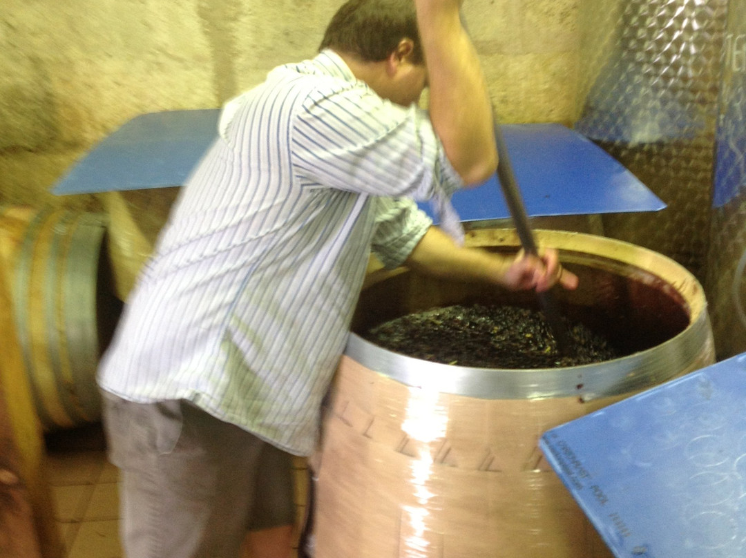 Chateau Bozelle-Arveyres必去景点