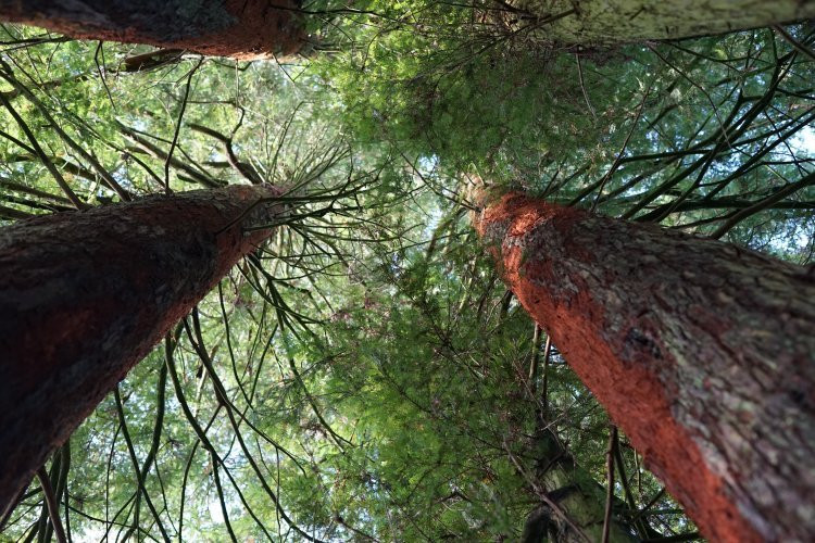 Hawkstone Park FOLLIES ADVENTURE-Weston-under-Redcastle必去景点