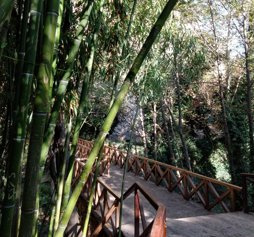 National Botanical Garden of Georgia-第比利斯必去景点