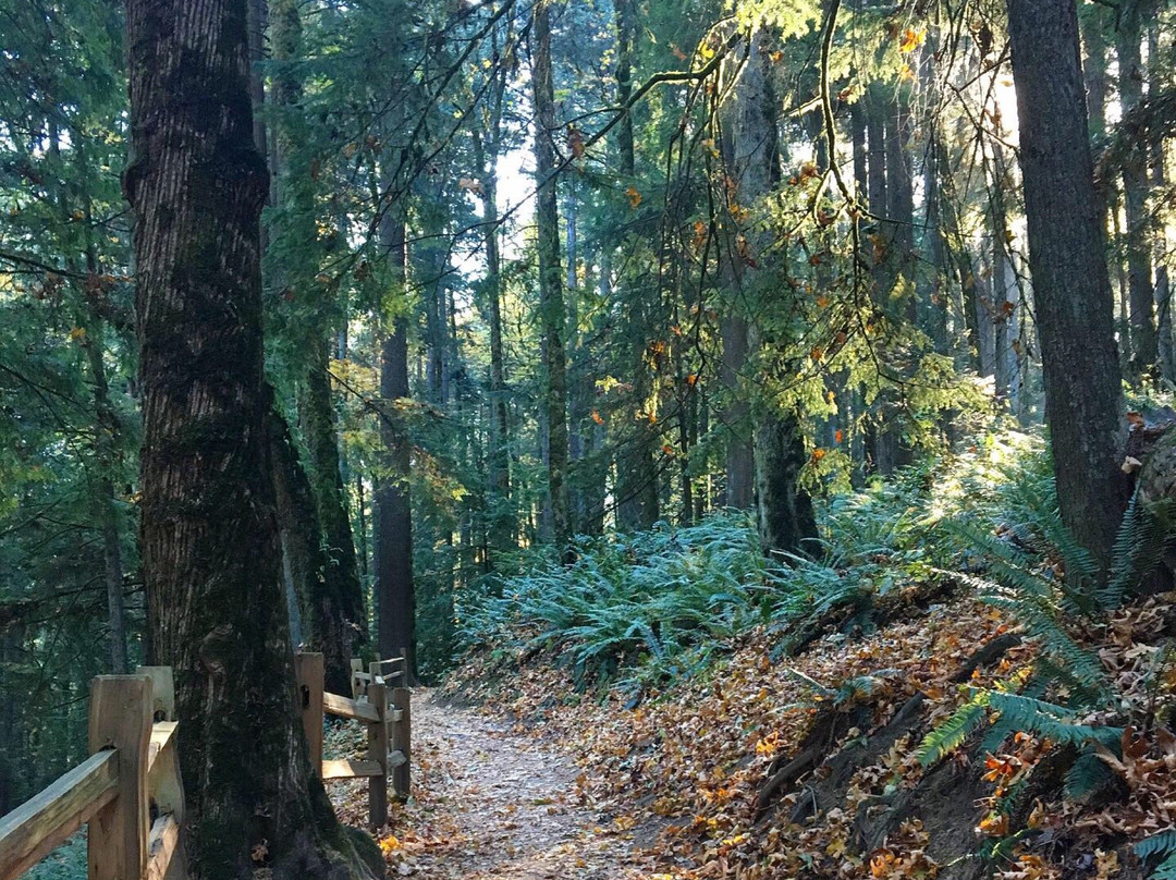 Around Portland Tours-波特兰必去景点