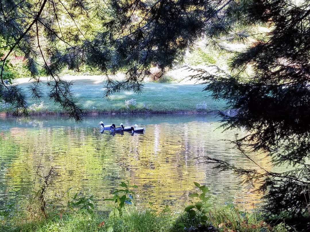 The Four Columns Inn And 1832 Tavern主图