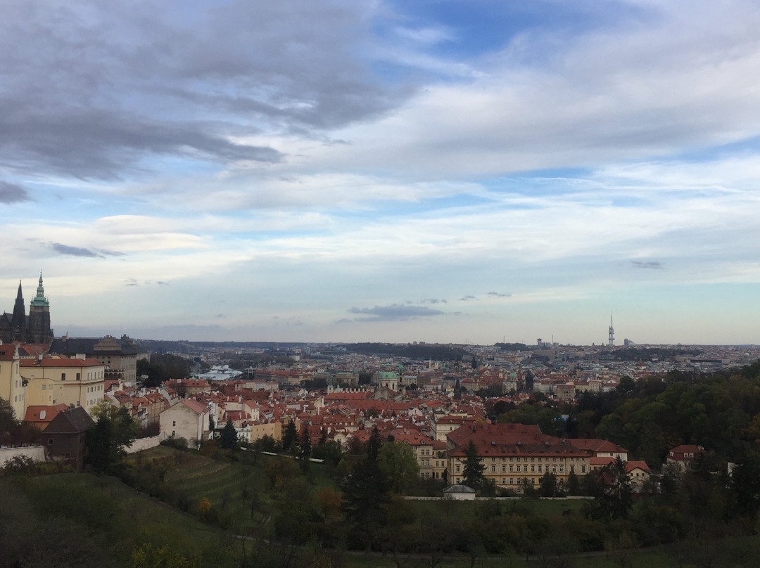 Prague WNDR Tours-布拉格必去景点