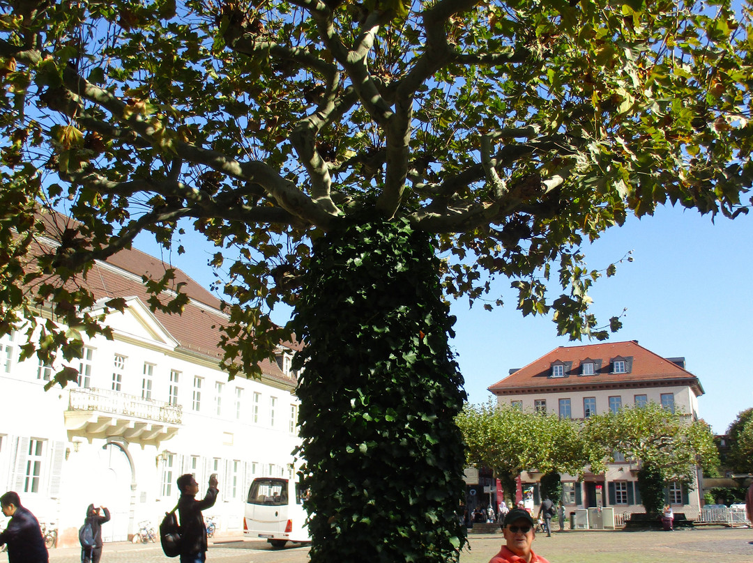 Carl's Square (Karlsplatz)-海德尔堡必去景点