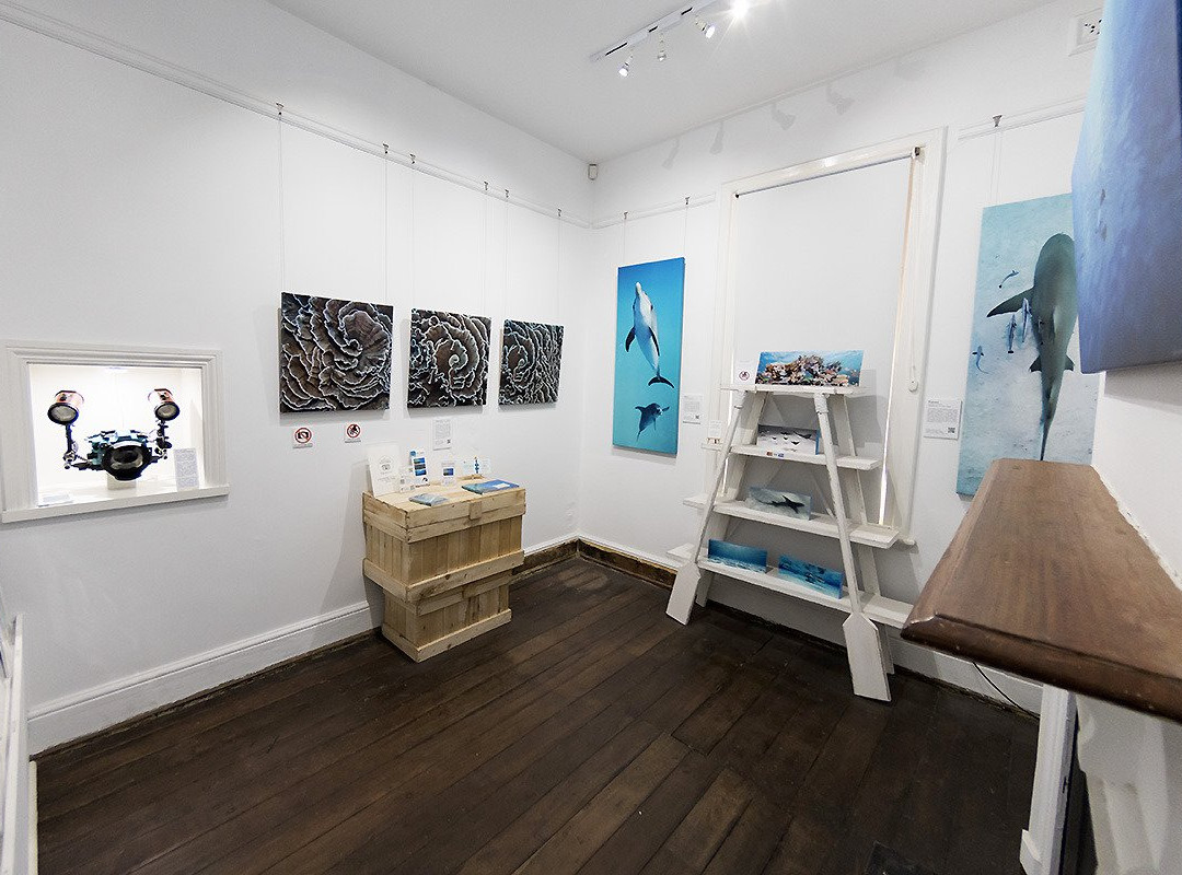Glen Cowans' Studio at the Roundhouse景点图片