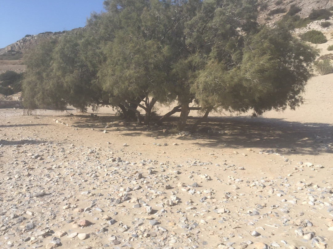 Psili Ammos Beach-Schinoussa必去景点