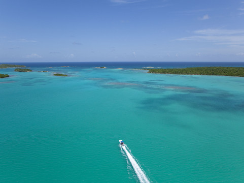 Antigua Nature Tours