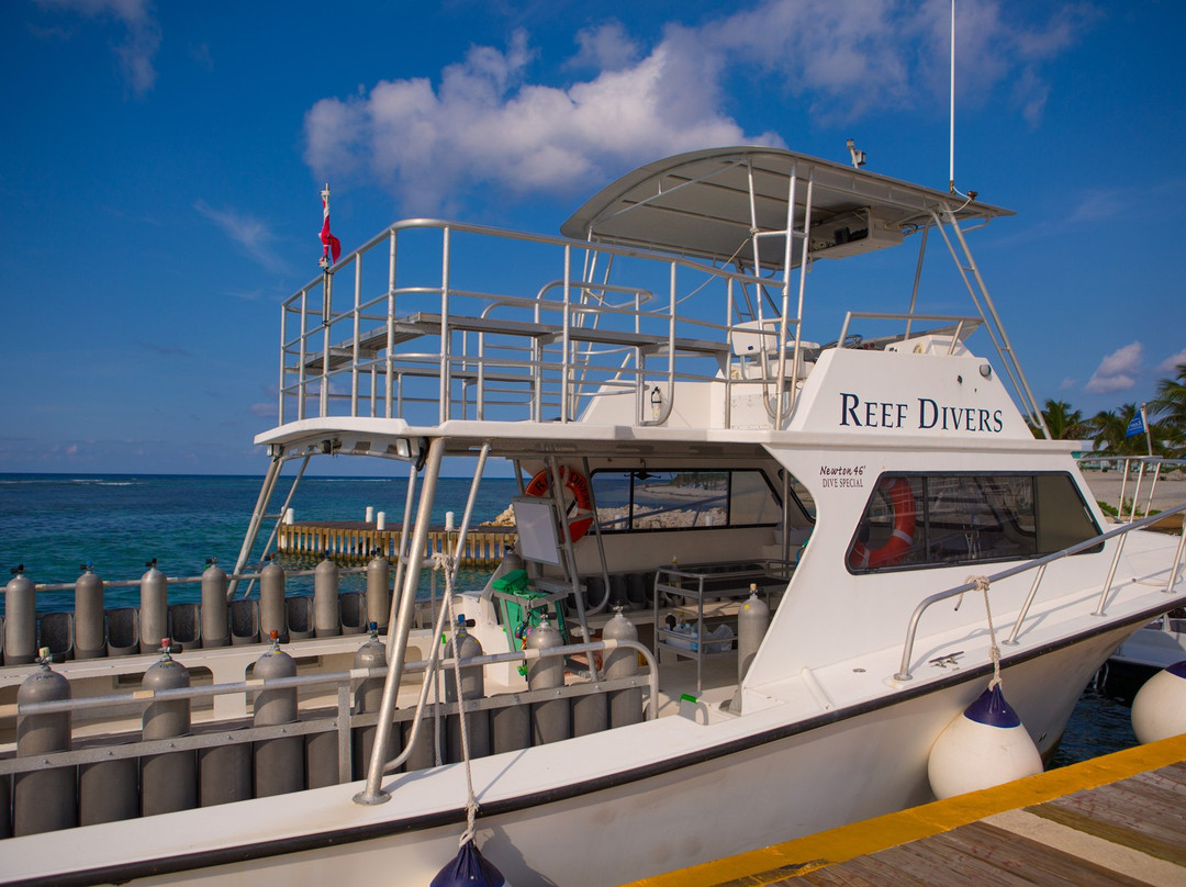 Reef Divers Cayman Islands-Cayman Brac必去景点