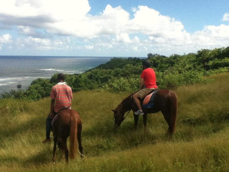 Ocean Echo Stables-Saint John Parish必去景点