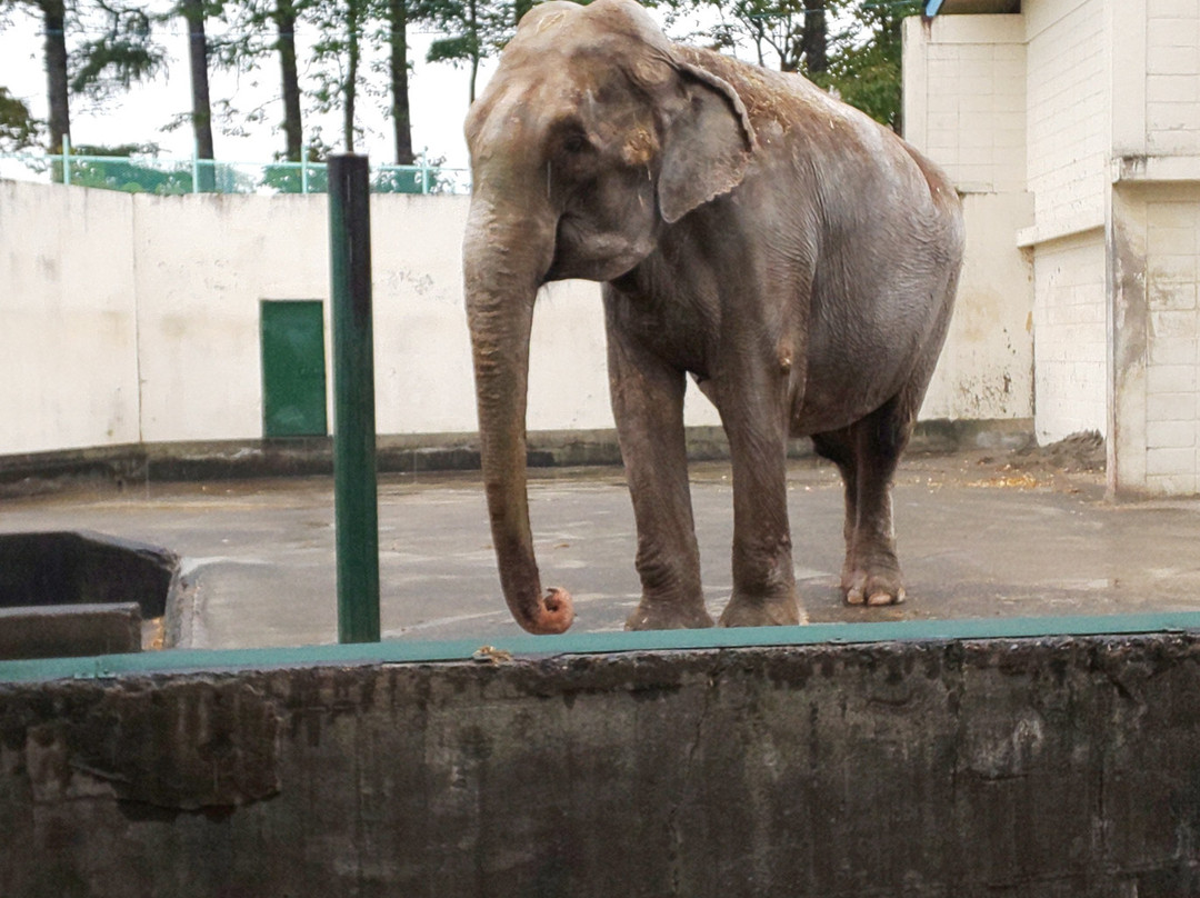 Obihiro Zoo-带广市必去景点