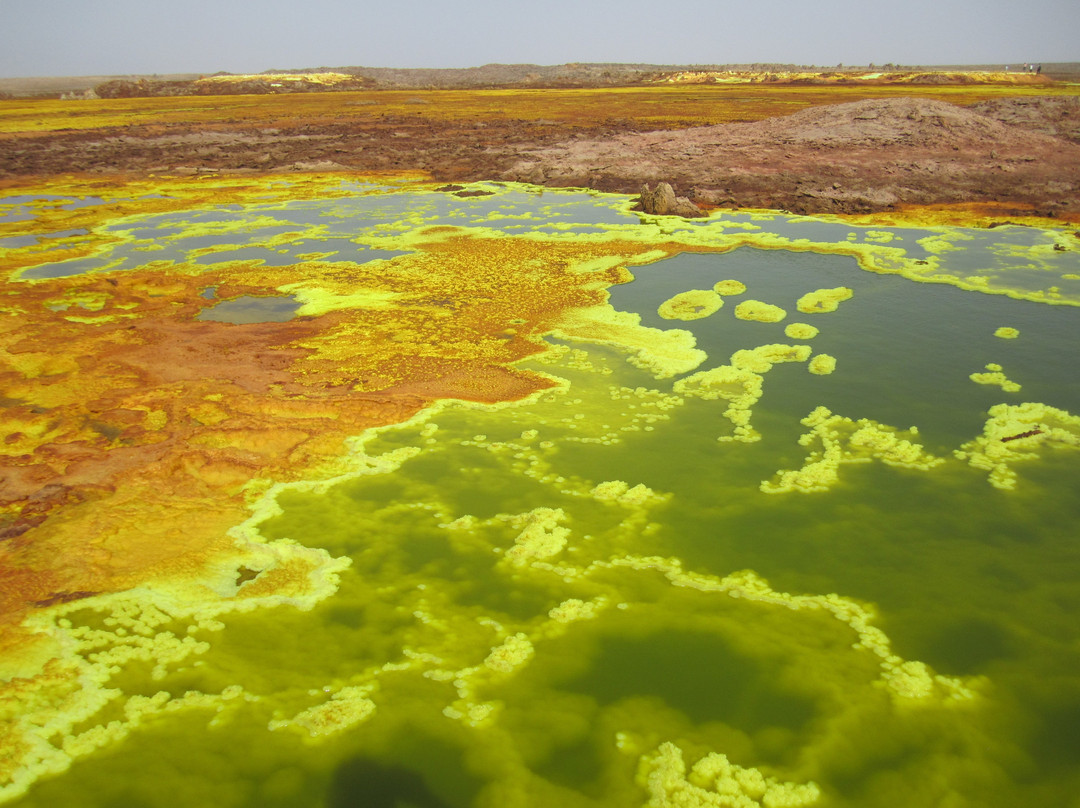 North Ethiopia Tours景点图片