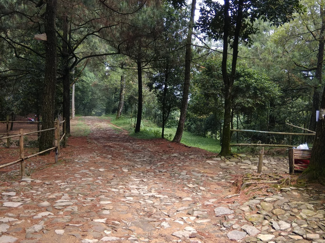 Cigamea Waterfall-茂物必去景点