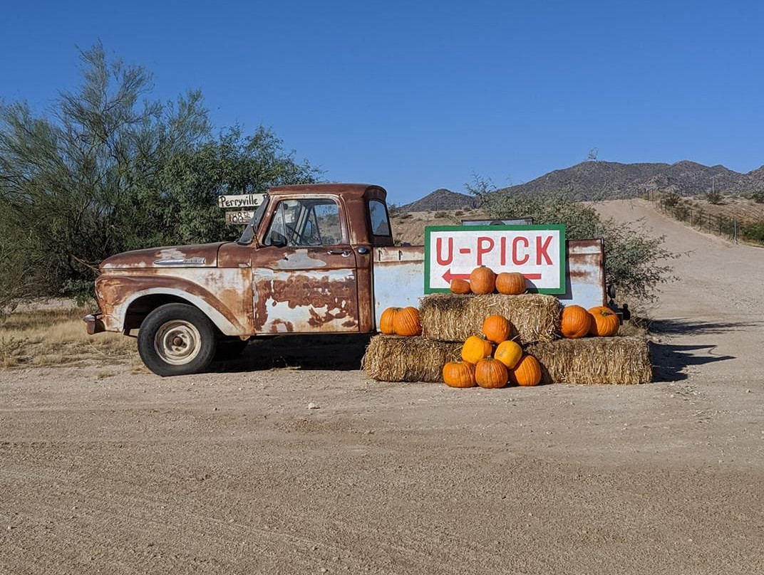 Justice Brothers U-Pick-瑟普赖斯必去景点