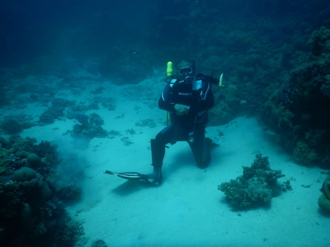 Orca Divers SA-吉达必去景点