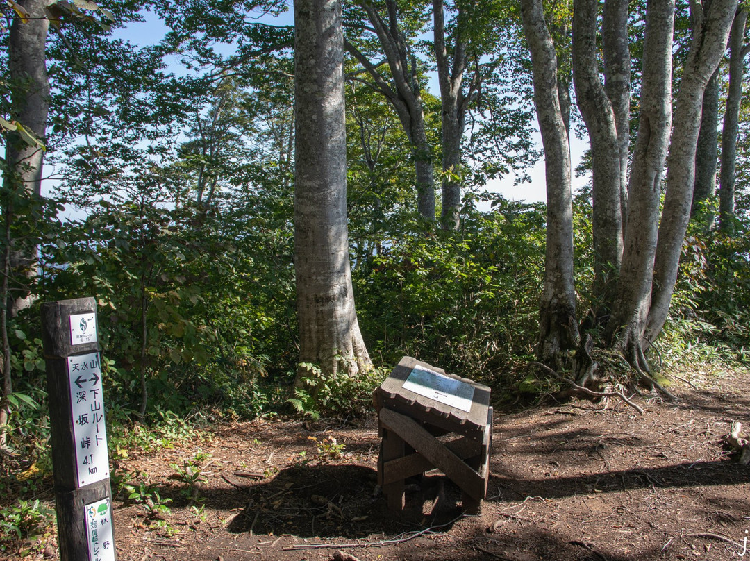 Shinetsu Trail-饭山市必去景点