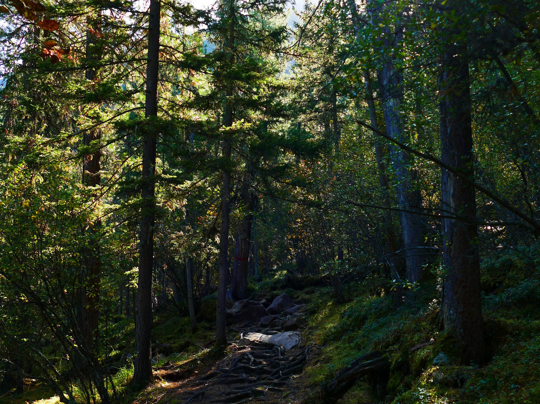 Mountain Borus-Sayanogorsk必去景点