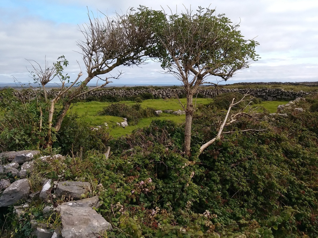Na Seacht Teampaill (The Seven Churches)-Inishmore必去景点