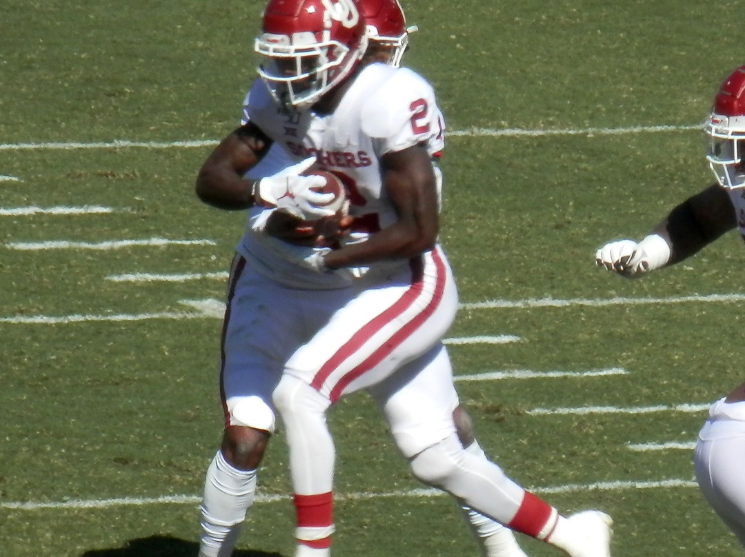 棉花杯-达拉斯必去景点