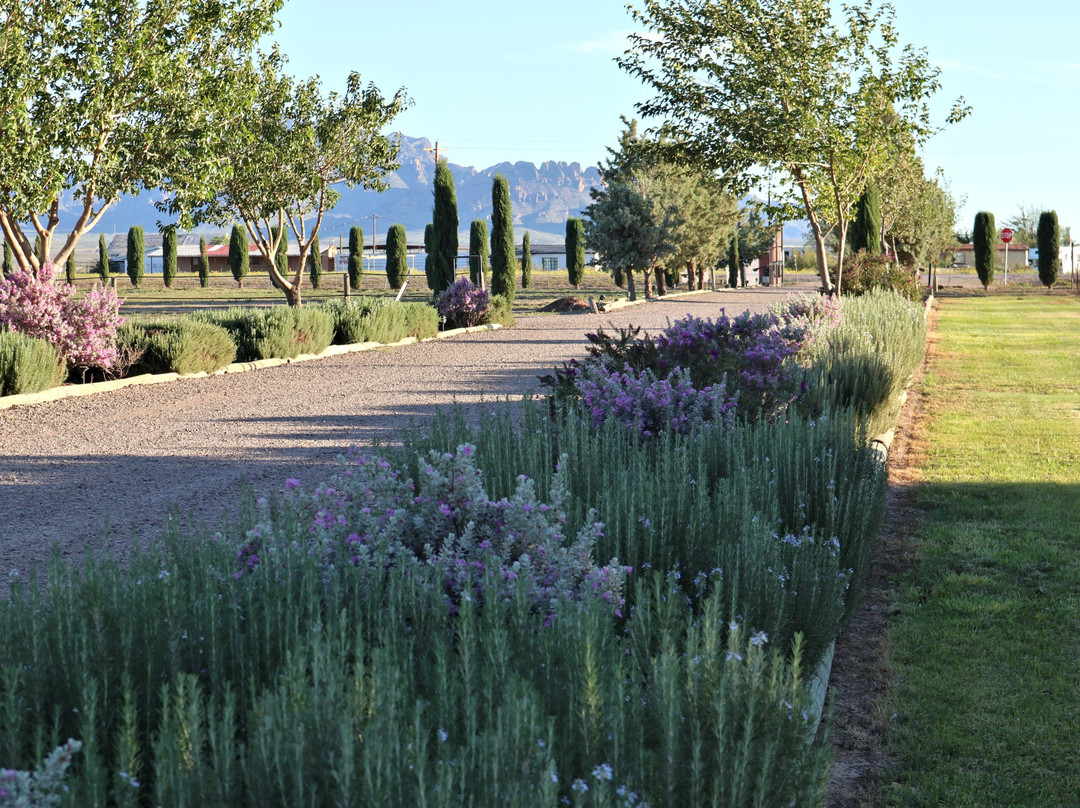 D.H. Lescombes Winery & Tasting Room-拉斯克鲁塞斯必去景点