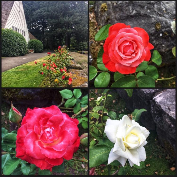 North Bonneville旅游景点-Spruce Gifts and Provisions