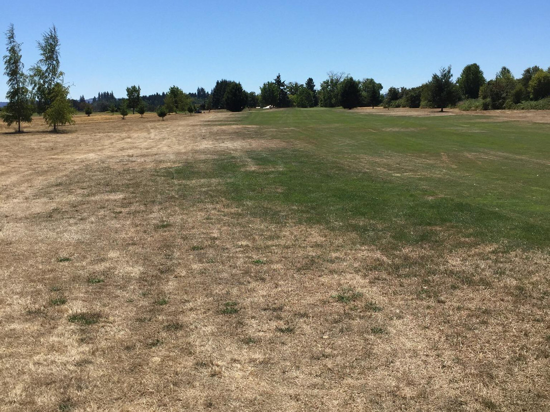 Meriwether National Golf Club-希尔斯伯勒必去景点