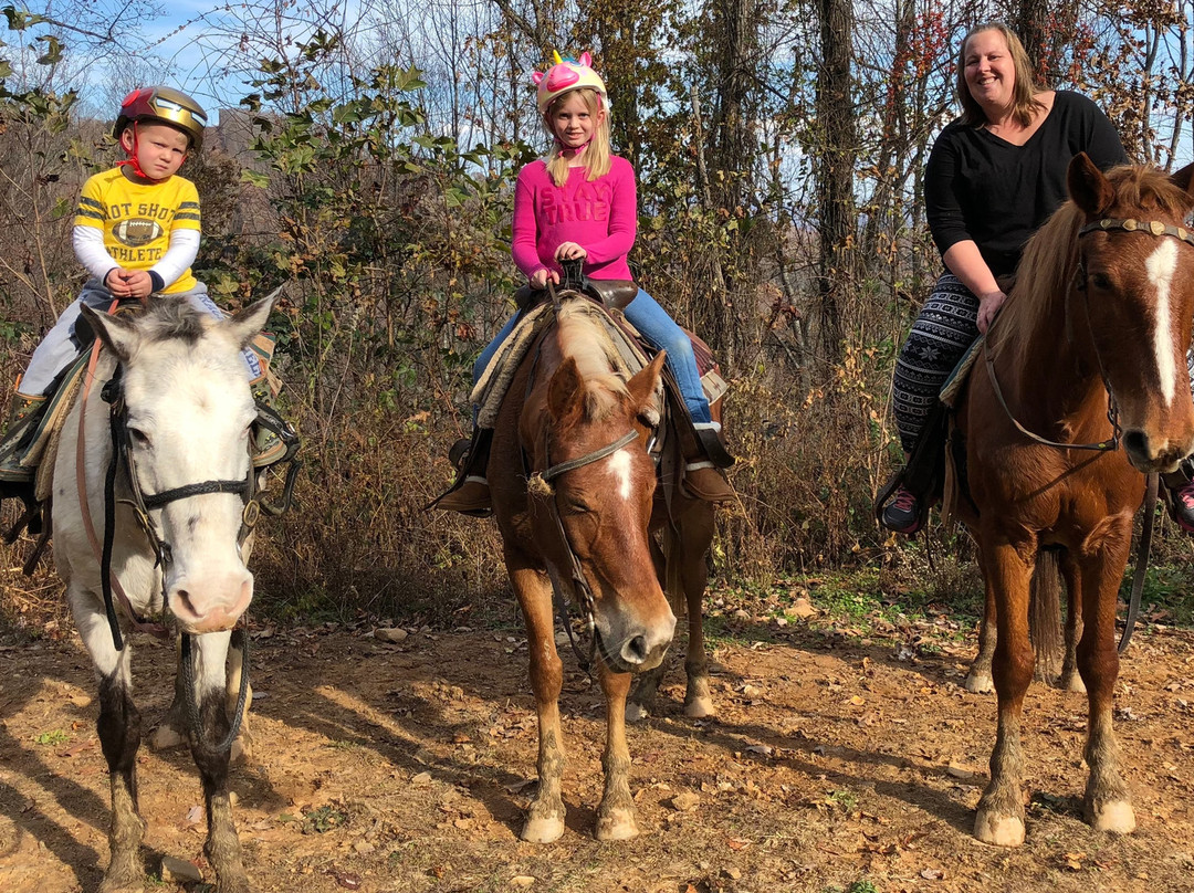 Queen's Farm Stables-韦恩斯维尔必去景点