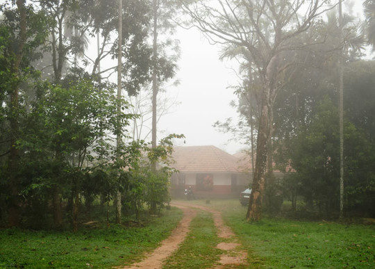 3 Hills County Resort Wayanad主图