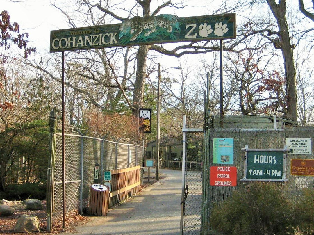 Cohanzick Zoo景点图片