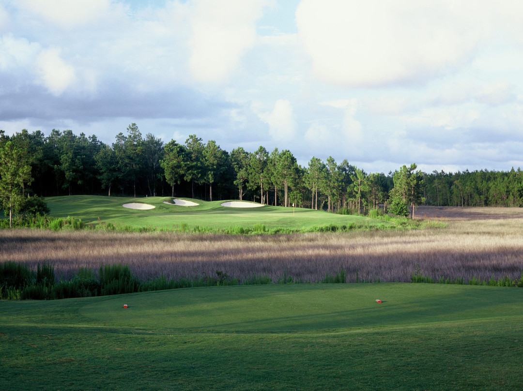Shell Landing Golf Course景点图片