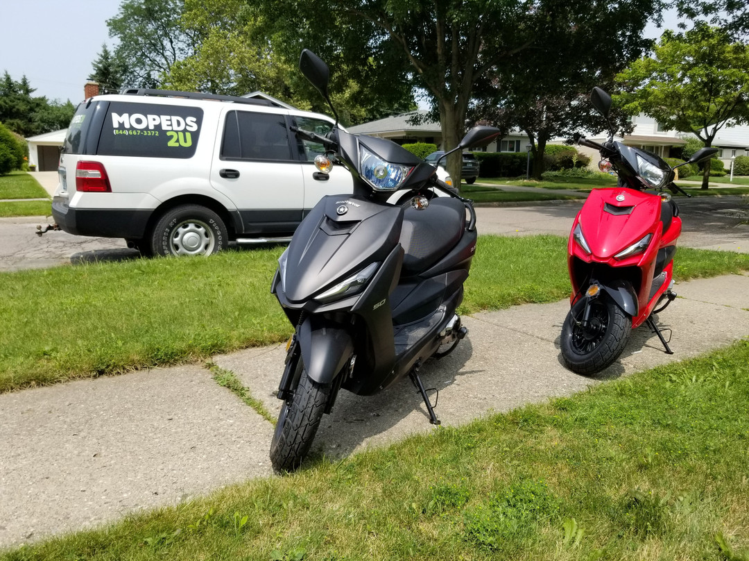 Mopeds 2 U景点图片